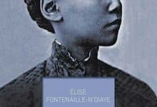 Elise Fontenaille-N'Diaye - Blue book