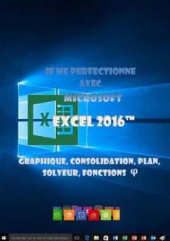 Je me perfectionne avec Excel 2016 - Graphique, consolidation, plan