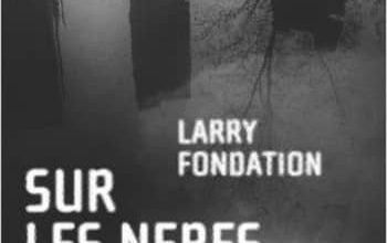 Larry Fondation - Sur le nerfs