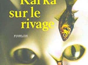 Haruki Murakami - Kafka sur le rivage
