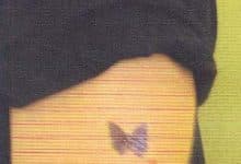 Philip Pullman - Le papillon tatoué