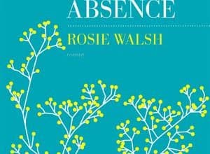 Rosie Walsh - Les jours de ton absence