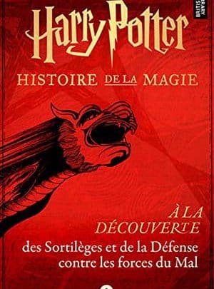 Harry Potter - Histoire de la magie - Tome 1